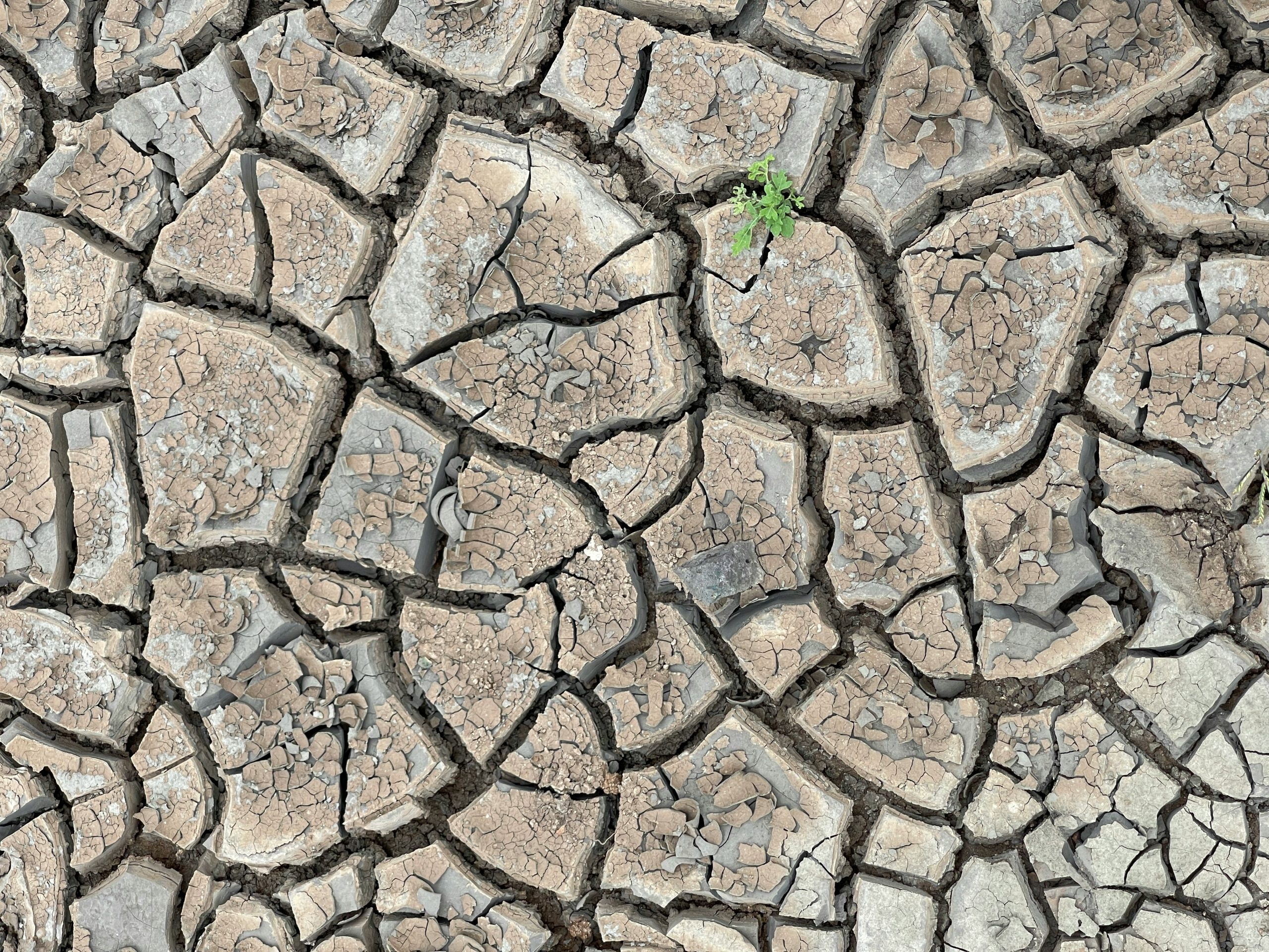 An image showing cracks on dried land